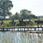 Corporate team building in the heart of Transylvania
